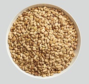 Grains & Legumes